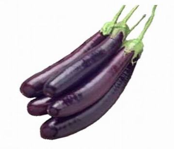 Aubergines in category of vegetables