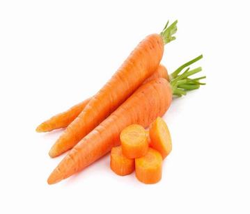 Carrot in category of vegetables