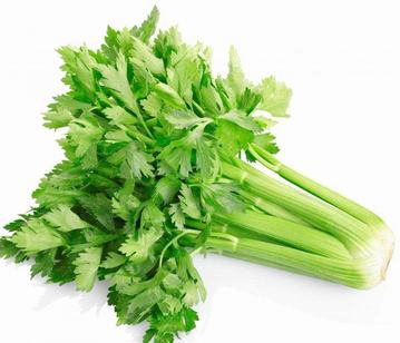 Celery in category of vegetables