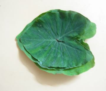 Colocasia Leaves in category of vegetables