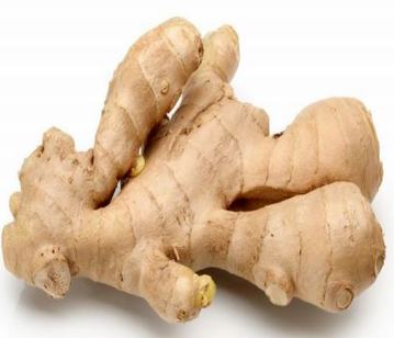 Ginger in category of spices and herbs