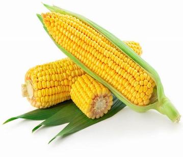 Maize in category of vegetables