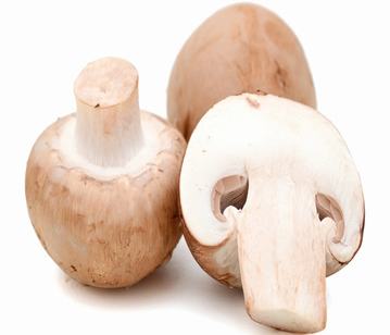 Mushroom in category of vegetables