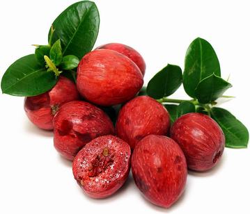 Natal Plum in category of vegetables