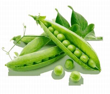 Green Pea Pods in category of vegetables