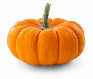 Pumpkin in category of vegetables
