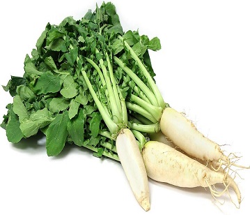 Radish in category of vegetables