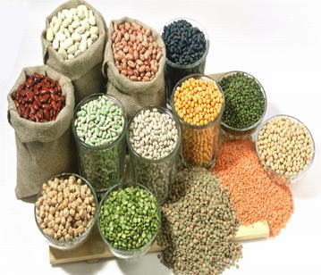 Seeds in category of vegetables