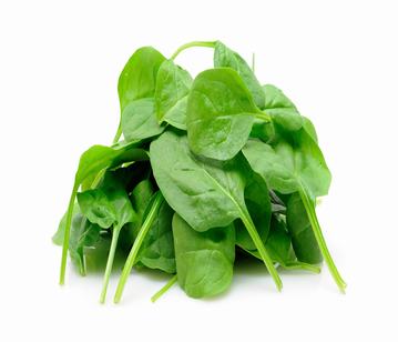 Spinach in category of vegetables