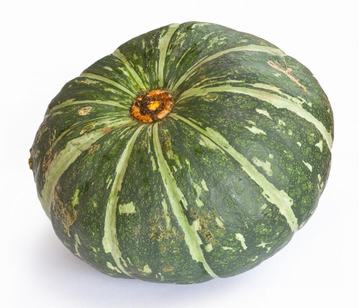Squash in category of vegetables