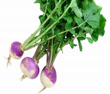 Turnip in category of vegetables