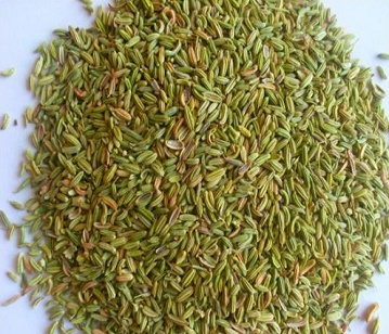 Aniseed in category of spices and herbs
