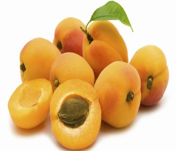 Apricot in category of fruits