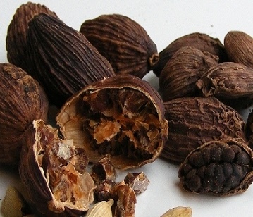 Black Cardamom in category of spices and herbs