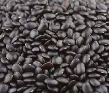 Black Hourse Bean in category of spices and herbs