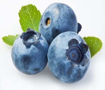 Blueberry in category of fruits