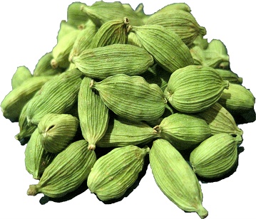 Cardamom in category of spices and herbs