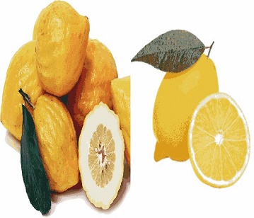 Citron in category of fruits