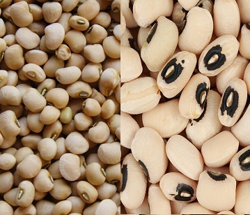 Cow Peas in category of grains and pulses