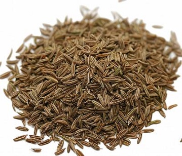 Cumin Seeds in category of spices and herbs