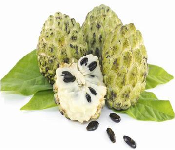Custard-apple in category of fruits