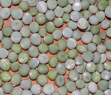 Dried Peas in category of grains and pulses