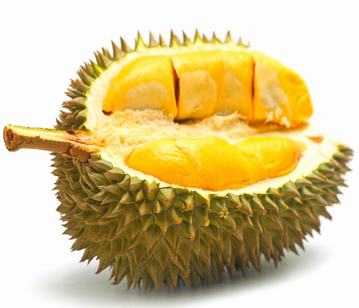 Durian in category of fruits