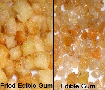 Edible Gum in category of spices and herbs
