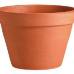 Flower Pot