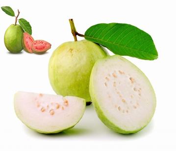 Guava in category of fruits