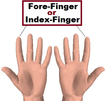 Index Finger in category of Parts of Body