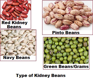 Kidney Bean in category of grains and pulses
