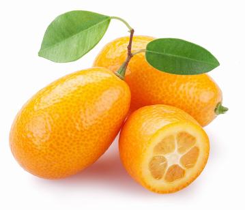 Kumquat in category of fruits