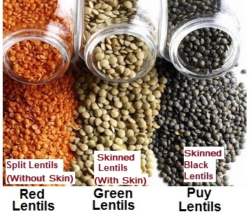 Lentils in category of grains and pulses