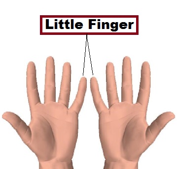 Little Finger in category of Parts of Body