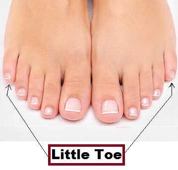 Little Toe in category of Parts of Body
