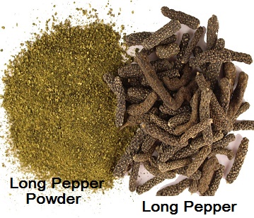 Long Pepper in category of spices and herbs