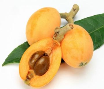 Loquat-fruit in category of fruits