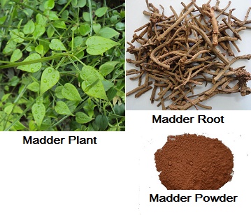 Madder in category of spices and herbs