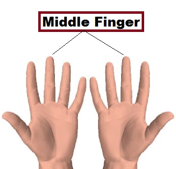 Middle Finger in category of Parts of Body