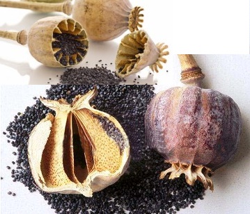 Opium in category of spices and herbs