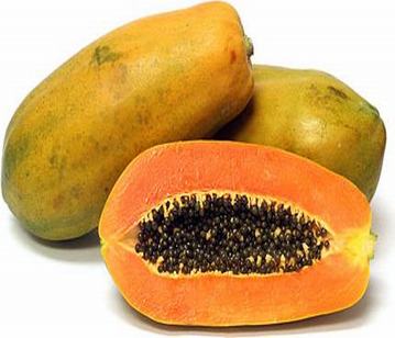 Papaya in category of fruits