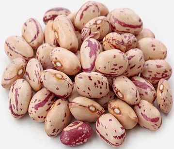 Pinto Beans in category of grains and pulses