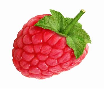 Raspberry in category of fruits