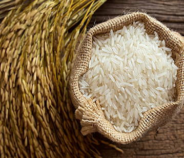 Rice in category of grains and pulses