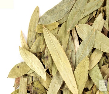 Senna Leaves in category of spices and herbs