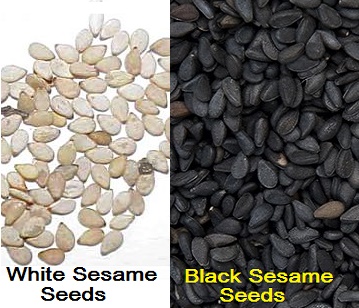 Sesame Seeds in category of spices and herbs