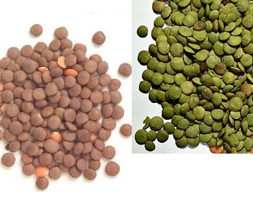 Skinned Lentil in category of grains and pulses