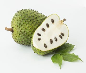 Soursop in category of fruits