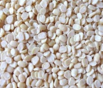 Split Black Gram in category of grains and pulses